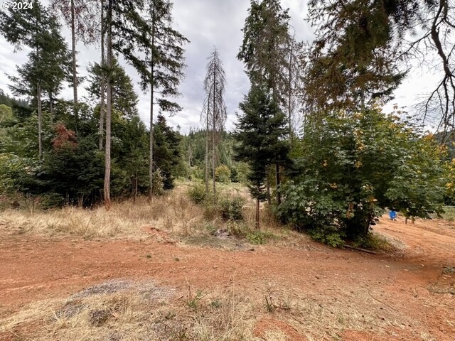 780 Tunnel Rd, Glendale, OR 97442