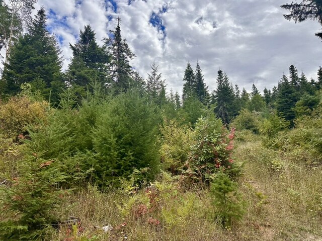 780 Tunnel Rd, Glendale, OR 97442