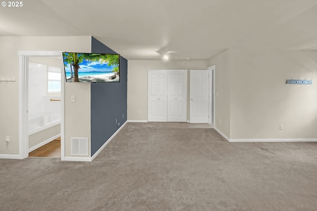 interior space with a closet and carpet