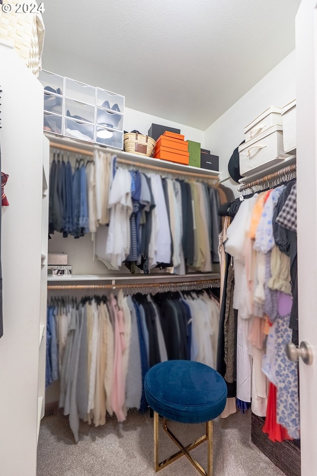 walk in closet featuring carpet flooring