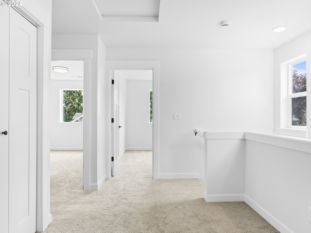 hallway featuring light carpet and plenty of natural light