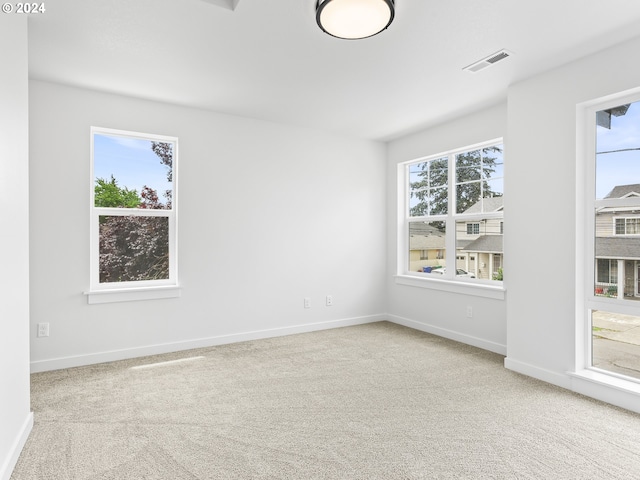 spare room featuring carpet floors and a wealth of natural light