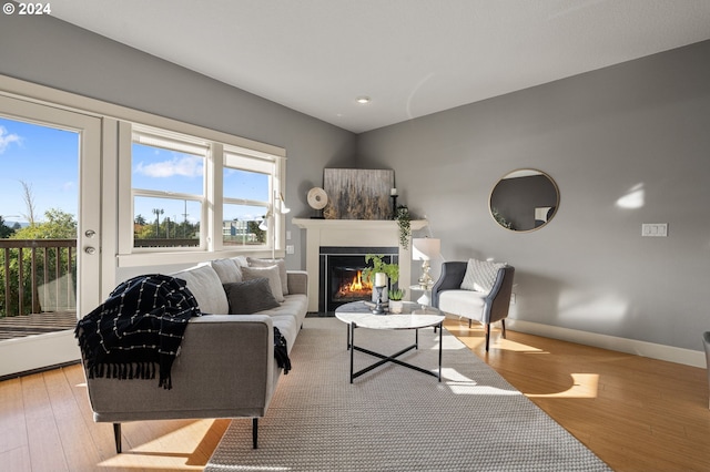 living room featuring light hardwood / wood-style flooring