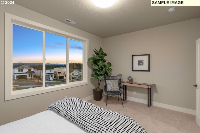 bedroom featuring light colored carpet and a textured ceiling