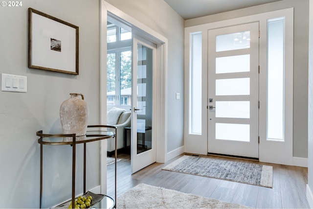 entryway featuring light wood-type flooring and plenty of natural light