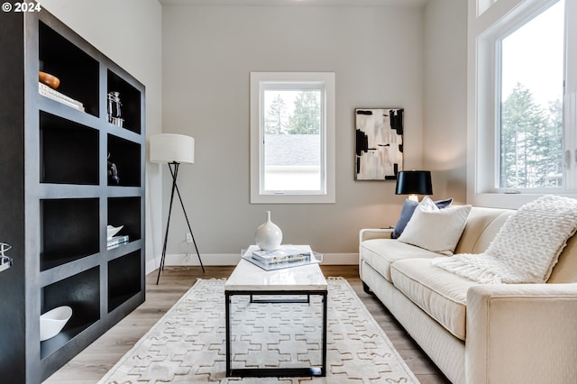 living room with hardwood / wood-style flooring