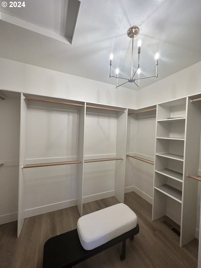 spacious closet with an inviting chandelier and dark hardwood / wood-style flooring