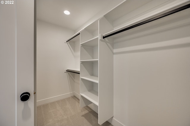 spacious closet with light colored carpet