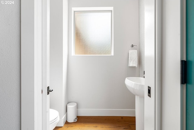 bathroom with hardwood / wood-style floors, toilet, and sink