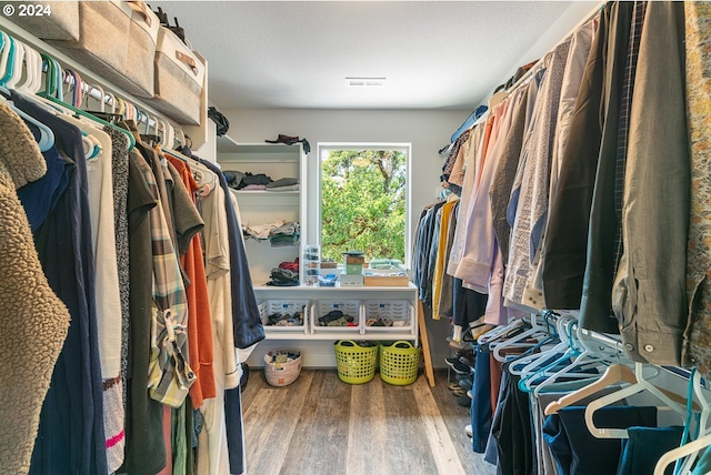 spacious closet with wood-type flooring