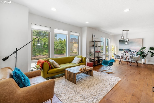 living room featuring light hardwood / wood-style floors