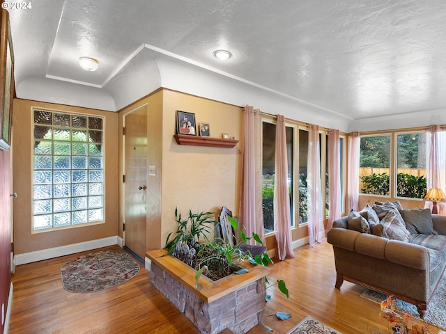 entryway featuring a healthy amount of sunlight, lofted ceiling, and hardwood / wood-style flooring