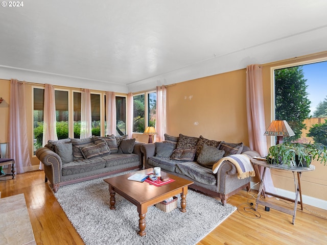 living room with light wood-type flooring