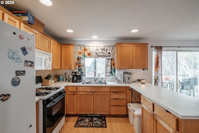 kitchen featuring white appliances, sink, light hardwood / wood-style flooring, and a wealth of natural light