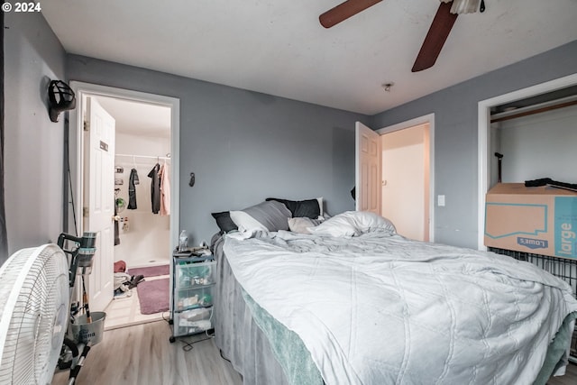 bedroom featuring light wood-type flooring, ceiling fan, a walk in closet, and a closet