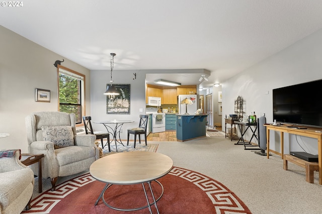 living room featuring light carpet