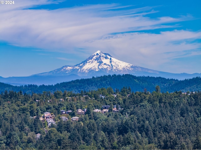 property view of mountains