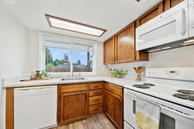 kitchen featuring light hardwood / wood-style floors, sink, and white appliances