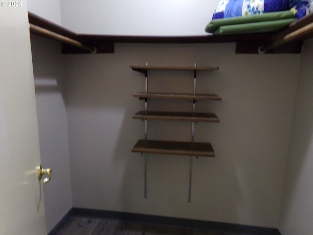 walk in closet featuring dark wood-style flooring