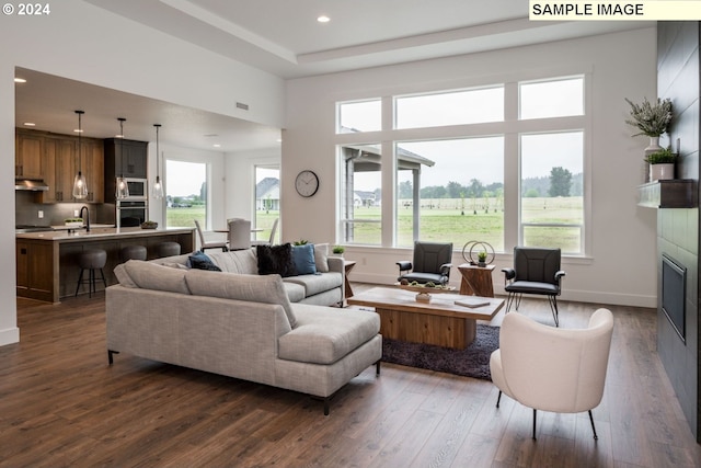 living room with dark hardwood / wood-style flooring and sink