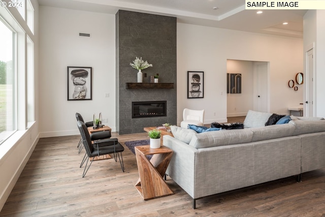 living room with hardwood / wood-style flooring, a healthy amount of sunlight, a raised ceiling, and a large fireplace