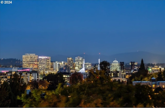 2442 NW Westover Rd Unit 3-202, Portland, OR 97210 - city view