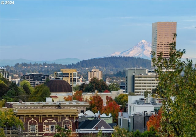 property's view of city featuring a mountain view