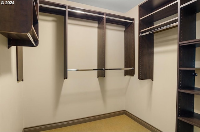 spacious closet featuring light colored carpet