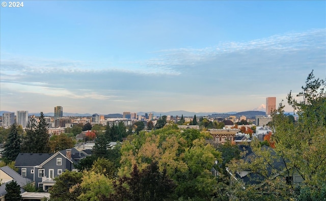 2442 NW Westover Rd Unit 3-202, Portland, OR 97210 - view of city