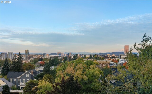 view of city featuring a mountain view