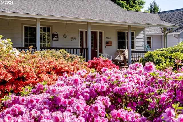 39431 Walterville Ln, Springfield, OR 97478 - entrance to property featuring a porch and a shingled roof