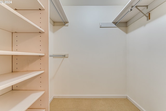 spacious closet with light colored carpet