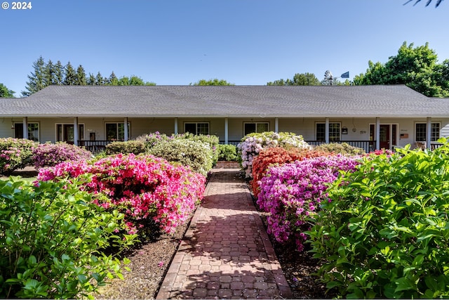 view of ranch-style house