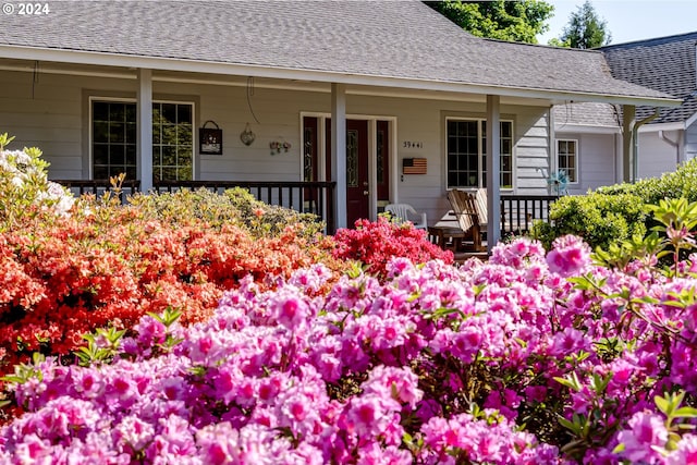 view of exterior entry featuring a porch