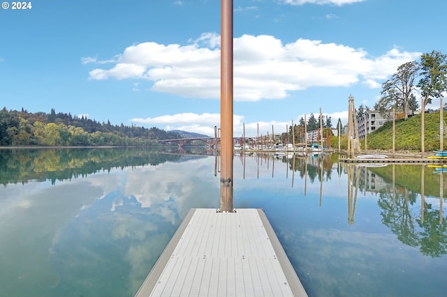 dock area with a water view