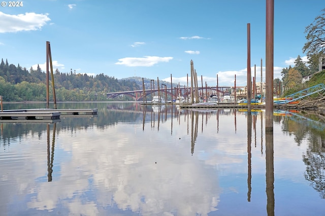 view of water feature featuring a dock