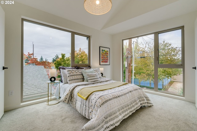 bedroom featuring carpet