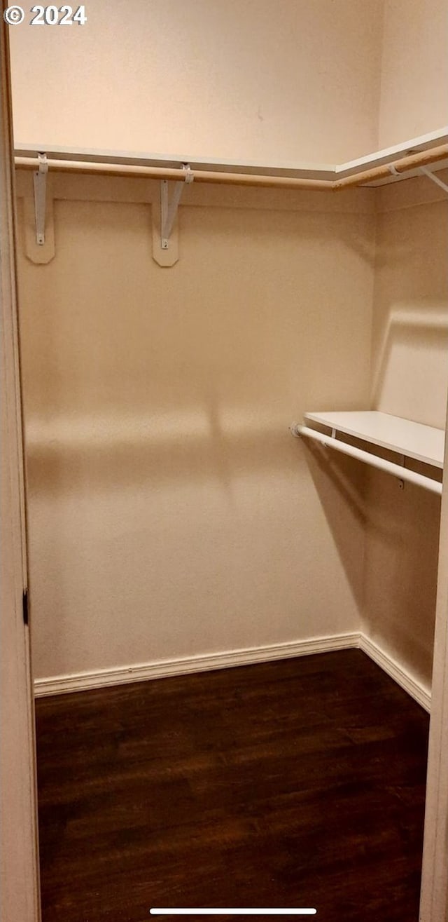 spacious closet with dark wood-type flooring