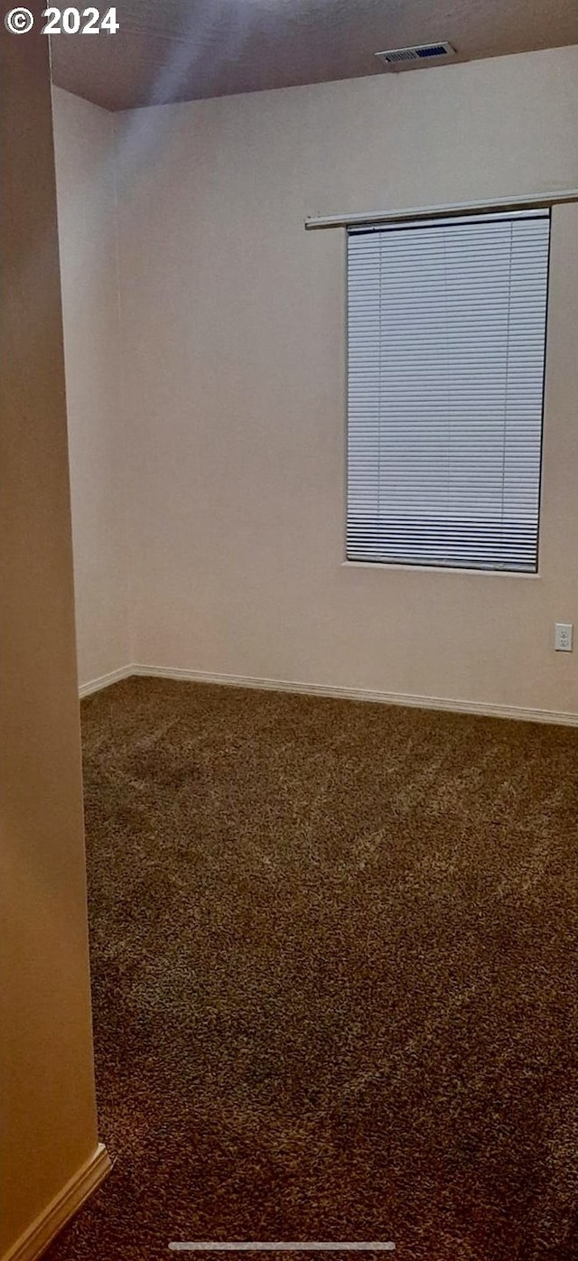 unfurnished room with carpet