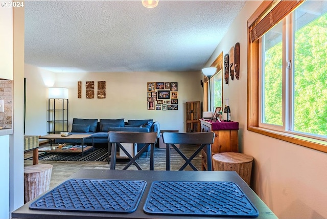 dining area featuring a textured ceiling and a wealth of natural light