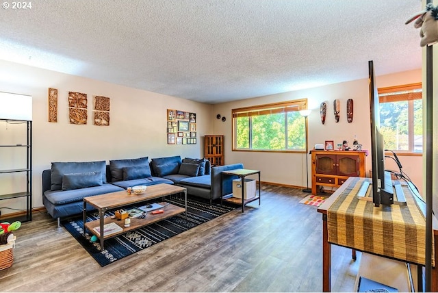 living room with a textured ceiling and wood-type flooring