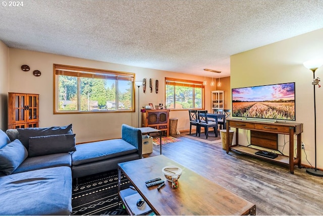 living room featuring wood-type flooring and a textured ceiling