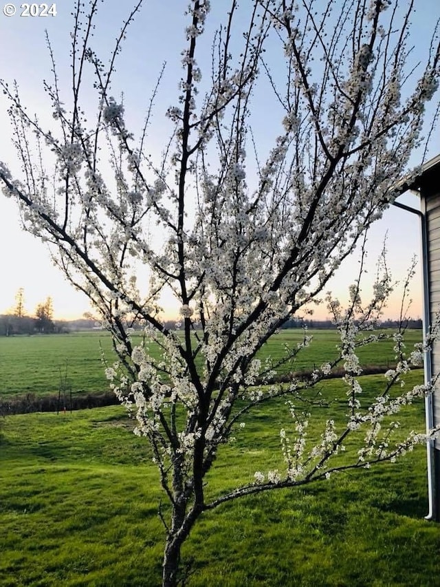 yard at dusk featuring a rural view