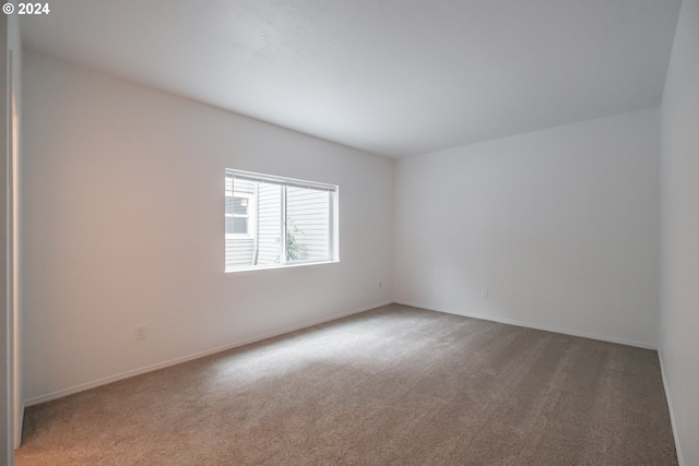 unfurnished room featuring carpet flooring