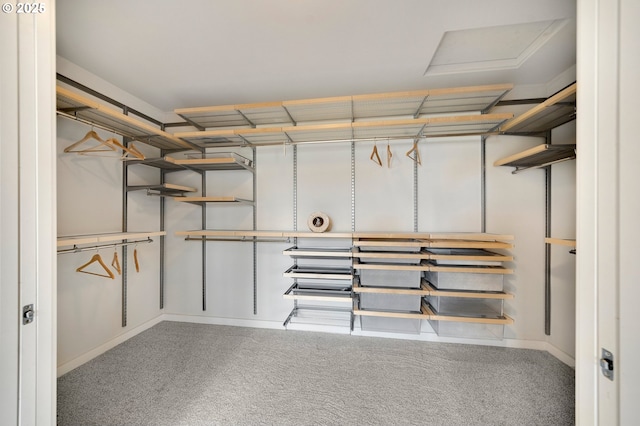 spacious closet with carpet floors