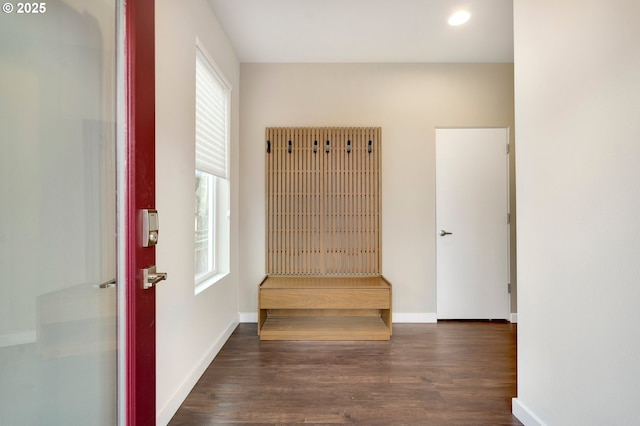 mudroom with dark wood-type flooring