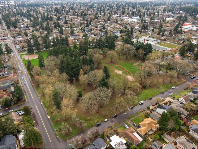 bird's eye view