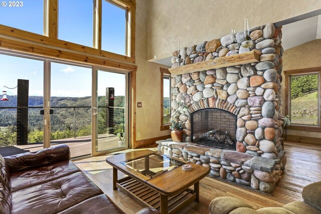 living room with a stone fireplace, high vaulted ceiling, and wood-type flooring