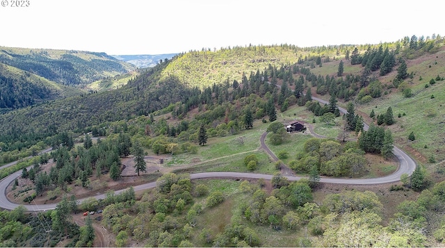 view of bird's eye view