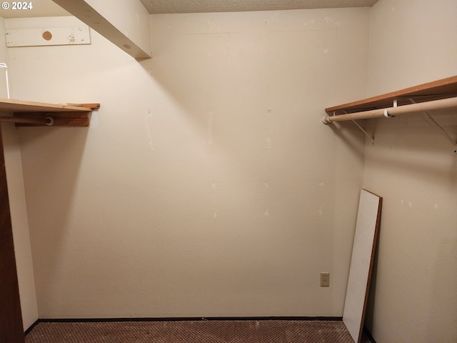 spacious closet with carpet